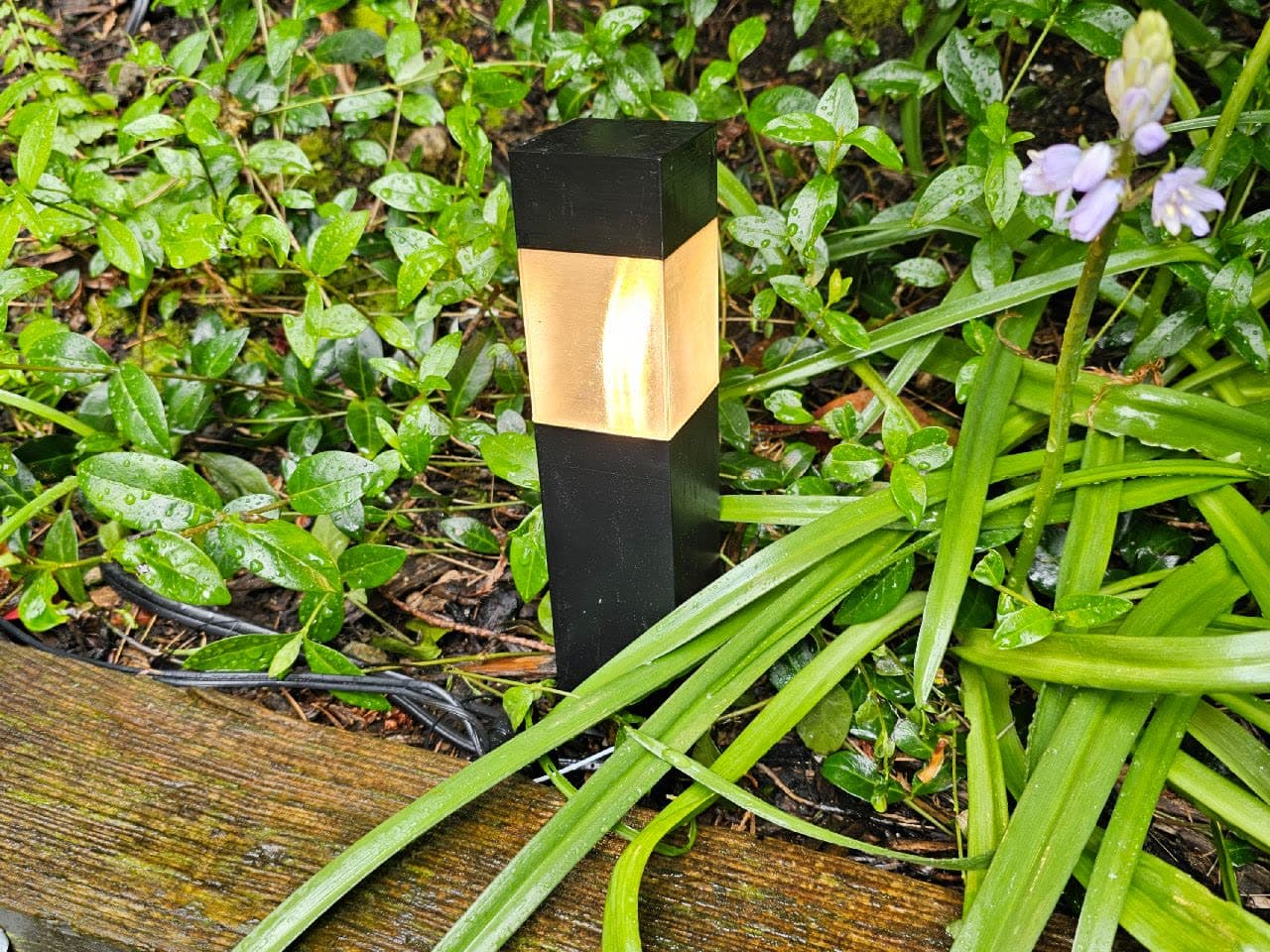 A path bollard light glowing among wet planting.